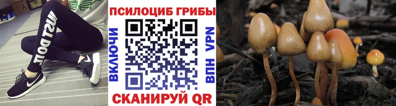 Псилоцибиновые грибы GOLDEN TEACHER  Купить где  Ртищево 